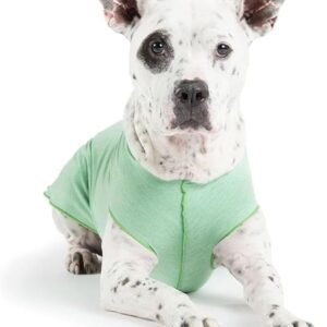 Dog Tee – T-Shirt for Canines – UV Protection, Pet Anxiety Relief, Wound Care – Protects Against Foxtails, Aids Alopecia - Machine Washable, All Season – Size 16 – Pistachio
