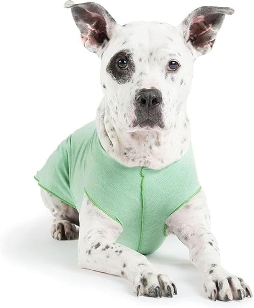 Dog Tee – T-Shirt for Canines – UV Protection, Pet Anxiety Relief, Wound Care – Protects Against Foxtails, Aids Alopecia - Machine Washable, All Season – Size 16 – Pistachio