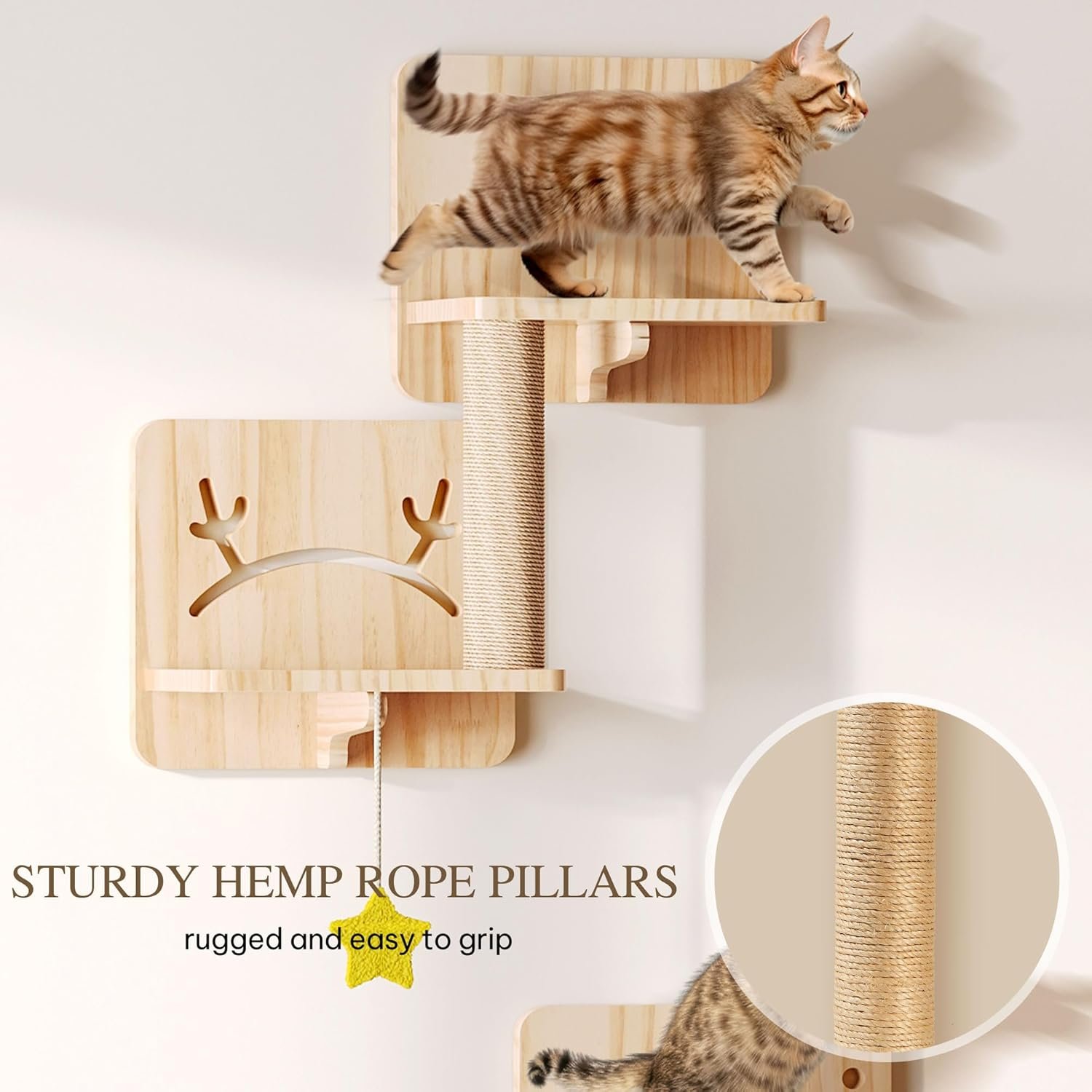 Cat Wall Shelves and Perches for Wall, Pine Wooden Wall Mounted Cat Furniture, Set of 13 Cat Climbing Shelves with Cat House, Warmer Mat, Wall Steps, Tree Cat Scratcher, Feeding Bowl - Image 2