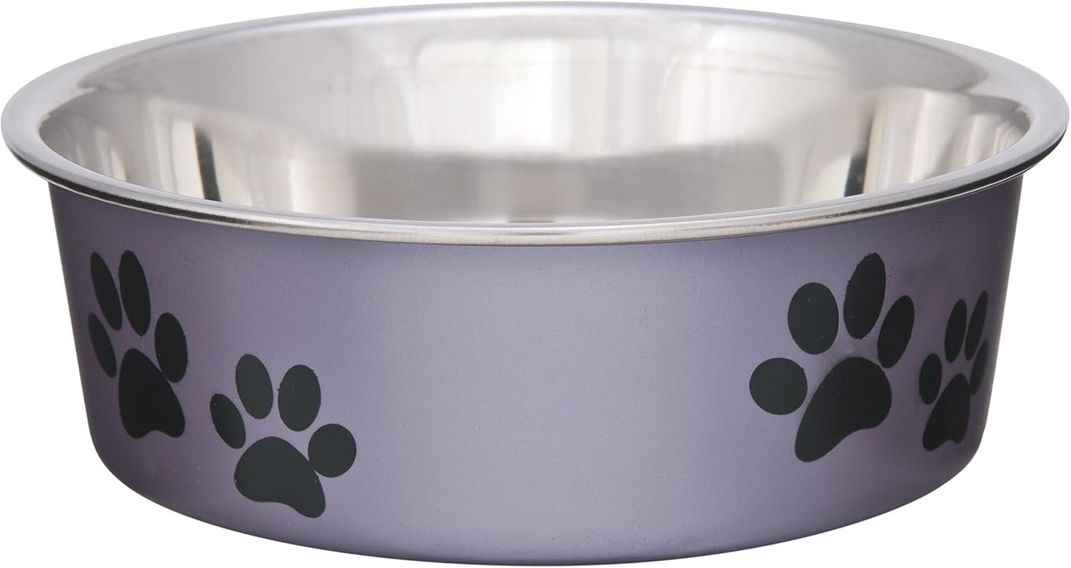 Dog Bowls- Stainless Steel Dog & Cat Bowls - Spill Proof Dog Food Bowl, Cat Bowl, Puppy Essentials & Pet Supplies Great for Home & Travel (Small 10-20 lbs, Grape)